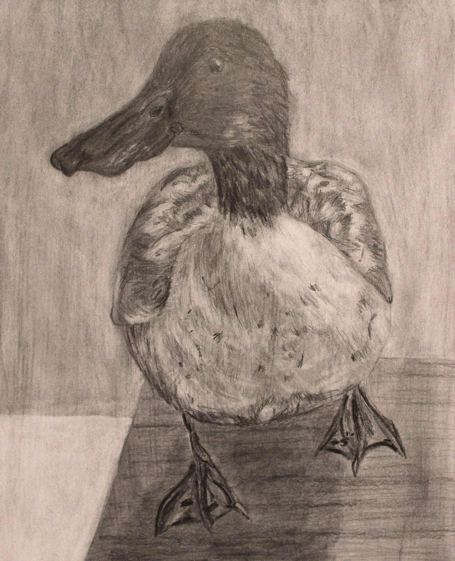 duck drawing