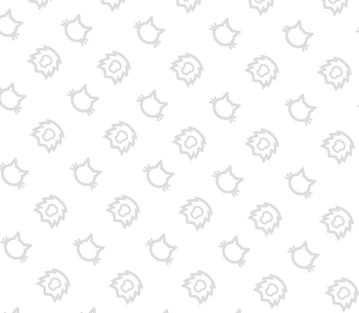 roar bikes background pattern