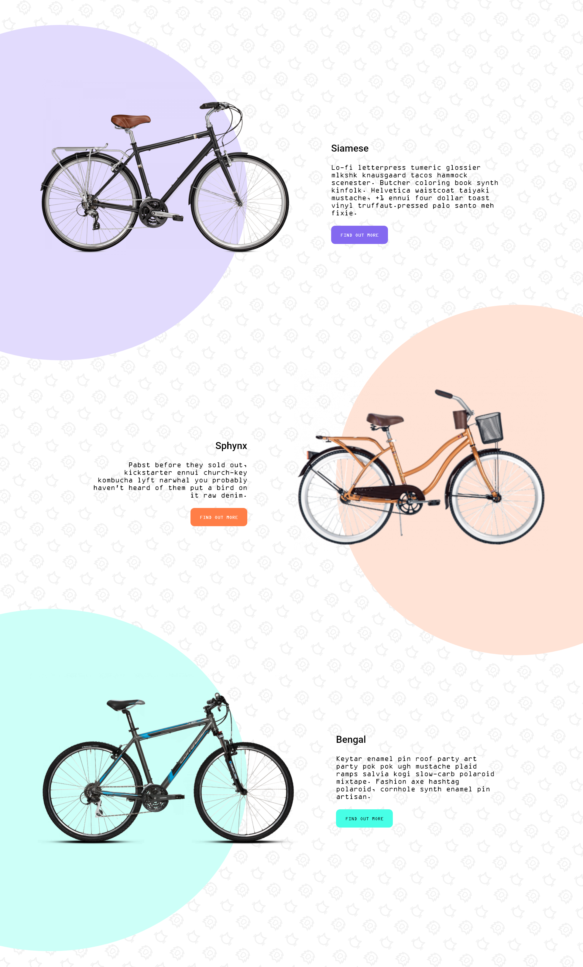 home page bikes section