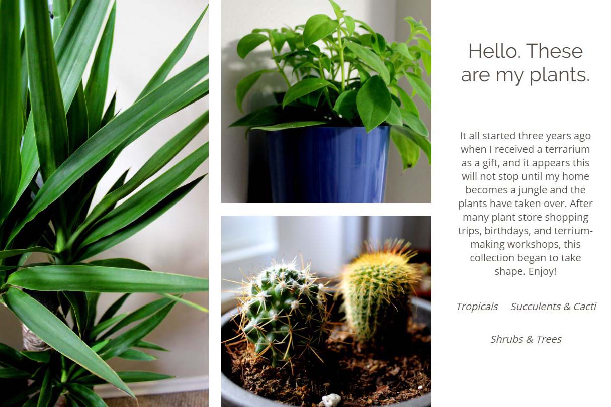 screenshot of plant website